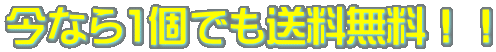 今なら1個でも送料無料！！